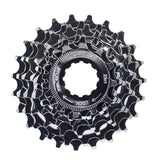 Xlc Kazetta 8s Campagnolo Silver